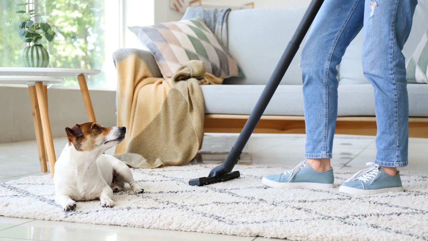 Professional home cleaning service with pet-friendly approach